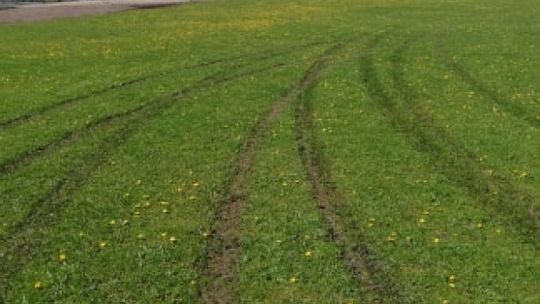 Jastrzębia: Wandal zniszczył boisko Akcji Jastrzębia