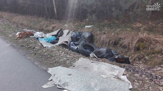 Jedlińsk. Z lasu zrobił śmietnisko 