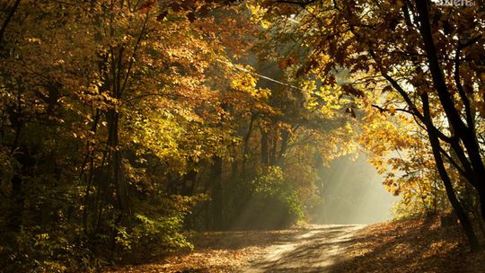 JEDLNIA-LET.: "Znalazł rozwiązanie problemu"