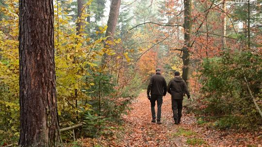 Jesień w górach – przygotuj się na wyjątkową przygodę Jesień w górach – przygotuj się na wyjątkową przygodę