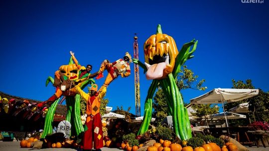 Jesienne szaleństwo w Energylandii