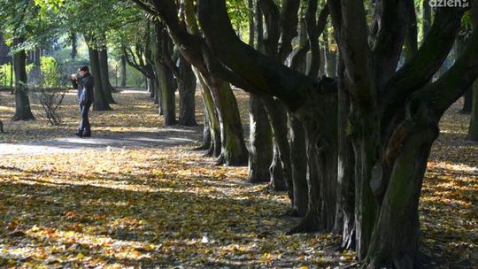 Jest 21 mln na rewitalizację parków w Radomiu