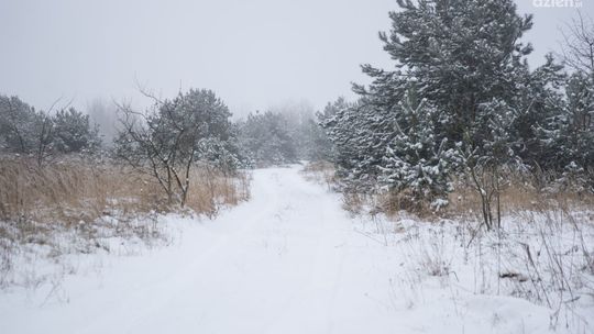 Jest taka ulica: dr. Zbigniewa Golby 