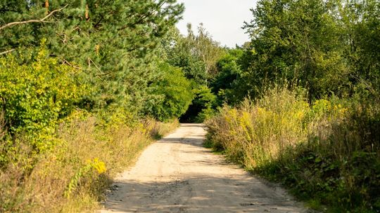 Jest taka ulica: Mścisława