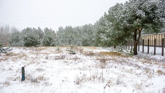 Jest taka ulica. Teresy Grodzińskiej