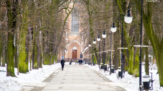 Jest taka ulica w Radomiu: Aleja ks. bp. Jana Chrapka