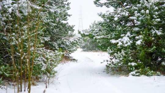 Jest taka ulica. Witolda Dąbkowskiego