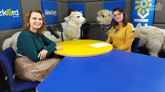 Justyna Wróbel: Całe życie z...alpakami