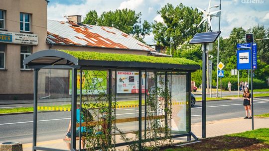 Już jest kolejny zielony przystanek 