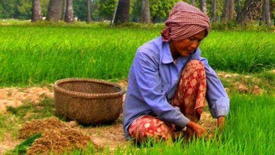 Kambodża i Tajlandia - poszukiwanie zaginionych świątyń