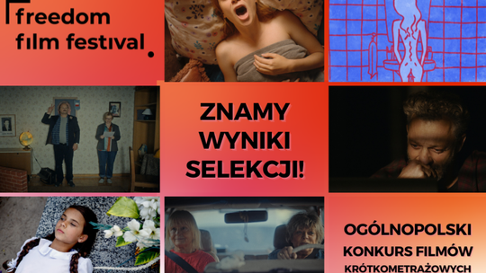 Kameralne Lato. Znamy wyniki selekcji do Ogólnopolskiego Konkursu Filmów Krótkometrażowych