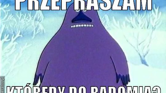 Kamerlane Lato będzie obalać mity o Radomiu