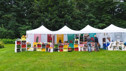 Kampania Moc Polskich Warzyw ruszyła ze zdwojoną siłą