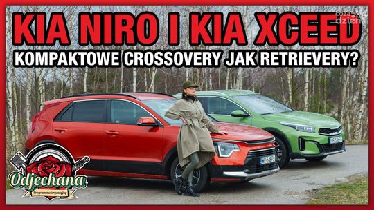 Kia XCeed i Kia Niro. Kompaktowe crossovery jak retrievery?