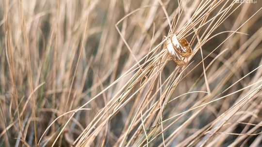 Kiedy zorganizować wesele w plenerze?