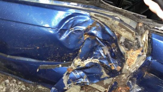 Kierowca BMW wypadł z drogi i uderzył w drzewo. Młodzi ludzie w szpitalu
