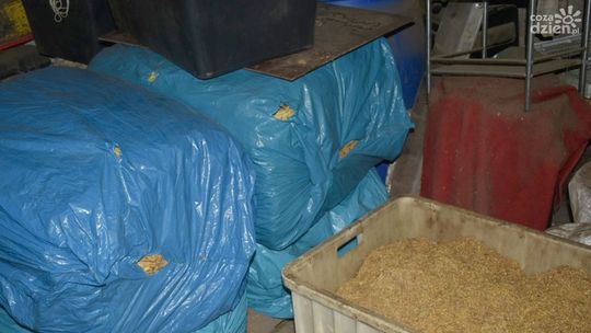 Kilkaset kilogramów nielegalnego tytoniu