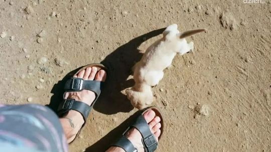 Klapki ortopedyczne – jakie wybrać?