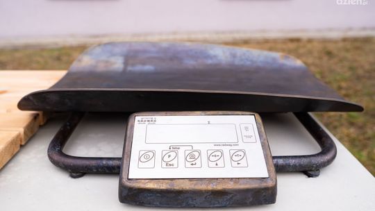 Kolejna rzeźba na szlaku symboli Radomia 