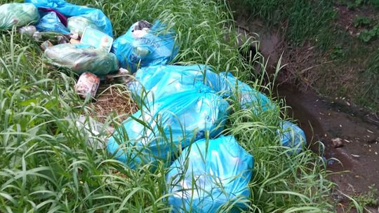 Kolejne dzikie wysypisko śmieci