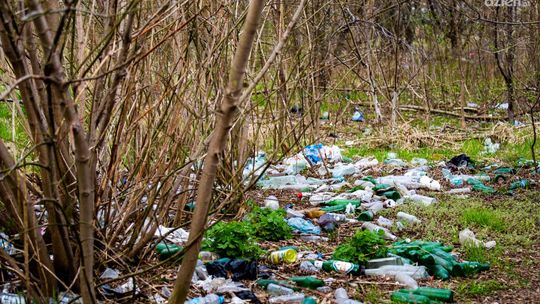 Kolejne fotopułapki dla strażników