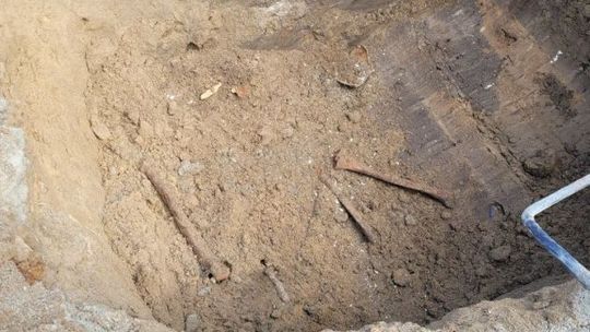 Kolejne kości znalezione na placu budowy w Kozienicach