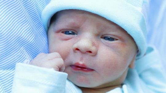 Kolejni radomianie wśród nas Kolejni radomianie wśród nas