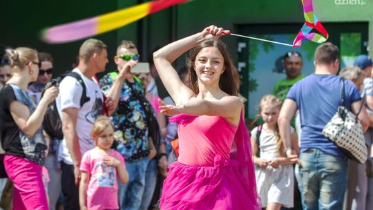 Kolorowy Ogród Wróżek Smużek