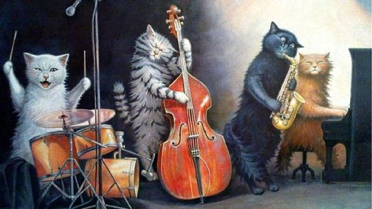 Koncert na Dzień Kota