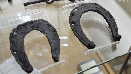 Konferencja naukowa na temat Piotrówki - ZOBACZ PROGRAM