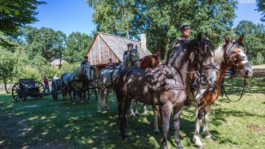 Konie w roli głównej. Za nami festyn rodzinny w Muzeum Wsi Radomskiej