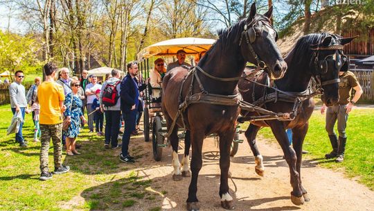 Koniem po skansenie i nie tylko 