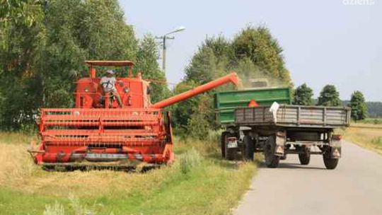 "Kosi kosi łapki", czyli skuteczna przestroga? "Kosi kosi łapki", czyli skuteczna przestroga?
