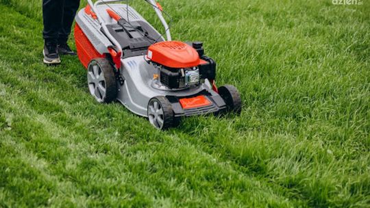 Kosiarka do trawy – jak wybrać najlepszą?