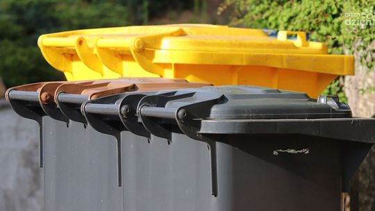 Kosz do segregacji - wybierz model dostosowany do Twoich potrzeb!