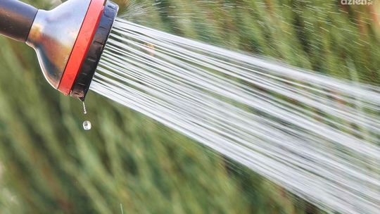 Kowala. Zakaz podlewania ogrodów