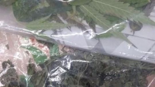 Kozienice. 18-latek z narkotykami zatrzymany
