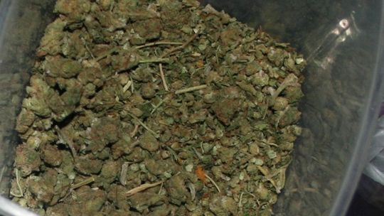 Kozienice. Dwa kilogramy narkotyków w rękach policji