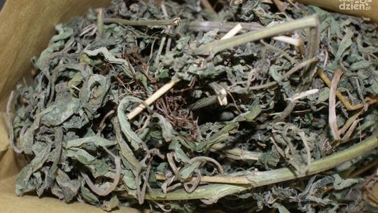 KOZIENICE. Narkotyki w wersalce i kradziony rower