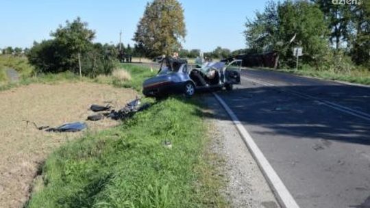 KOZIENICE. Piesi pod kontrolą