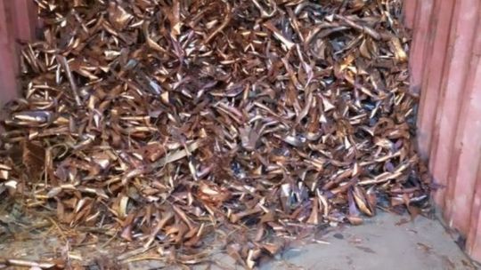 Kozienice. Policjanci rozbili grupę zajmującą się kradzieżą miedzi