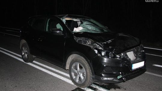 Kozienice. Śmiertelne potrącenie