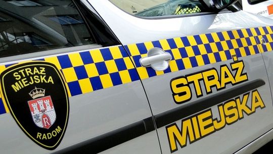 Kradł kostkę brukową