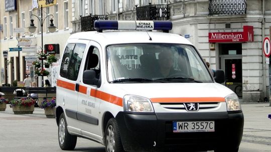 Kradł kostkę brukową pod... kamerą!