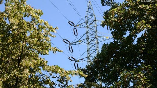 Kradli kable telekomunikacyjne. Grozi im nawet 8 lat 