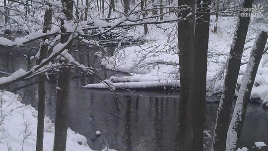 "Królewskie Źródła" - warto tu zajrzeć, mimo remontu