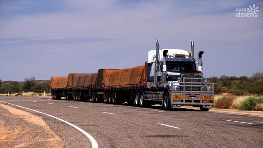 Kto może uzyskać licencję transportową?