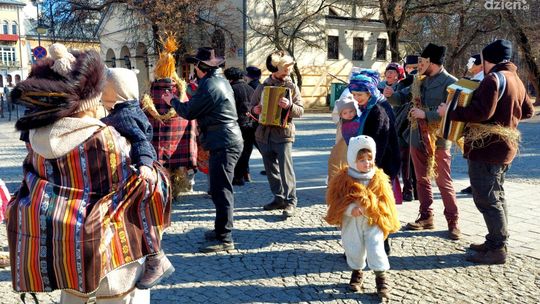 Kusoki na ulicach Radomia