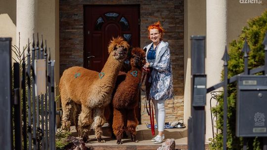 Kwarantanna "po radomsku" - okiem Martyny Skrok