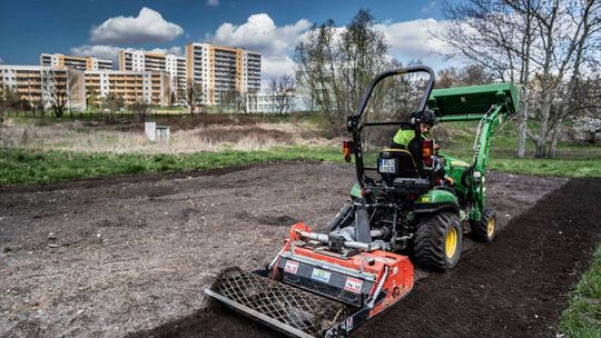 Łąki kwietne wysiane 